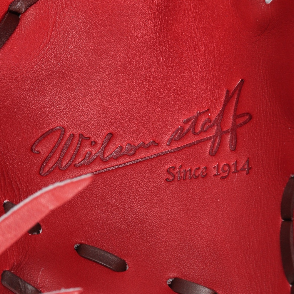 ウイルソン（Wilson）（メンズ）硬式用グラブ 内野手用 野球グローブ 一般 WS DUAL D5型 WBW101055