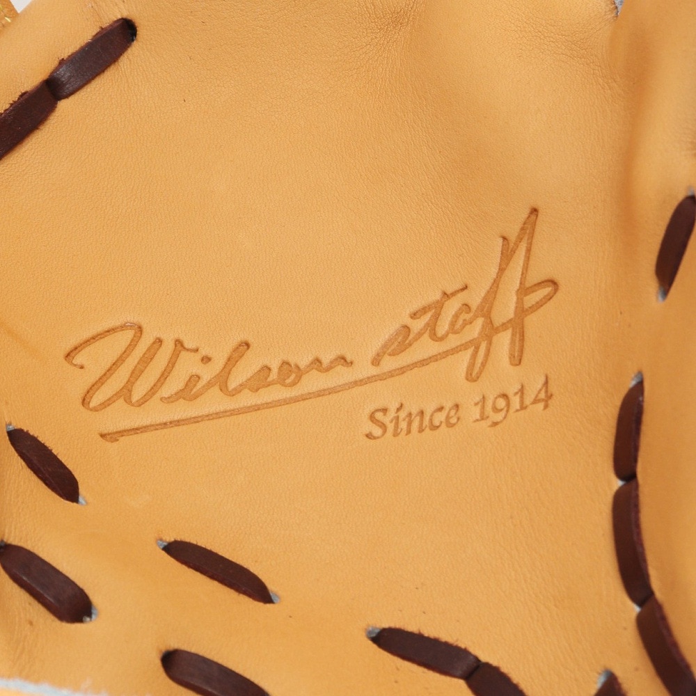 ウイルソン（Wilson）（メンズ）硬式用グラブ 内野手用 野球グローブ 一般 WS DUAL D5型 WBW102039