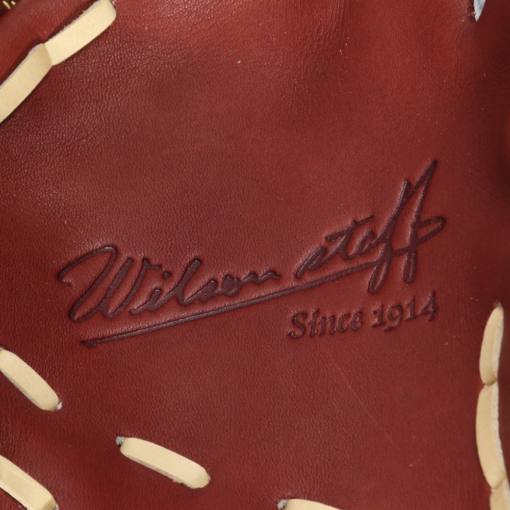 ウイルソン（Wilson）（メンズ）硬式用グラブ 内野手用 野球グローブ 一般 WS DUAL D5型 WBW102040