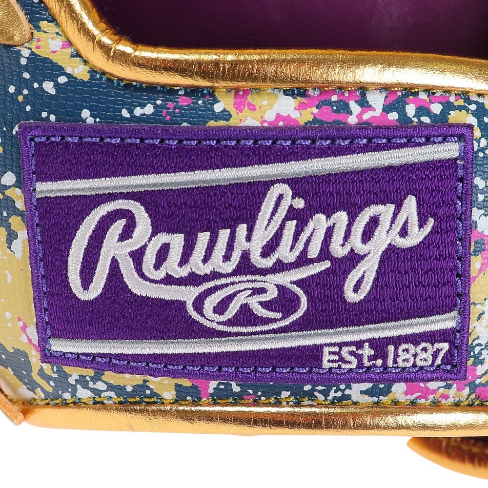 ローリングス（Rawlings）（メンズ）軟式用グラブ 内野手 野球グローブ 一般 BLIZZARD & Wizard 01 GR3HOCK4MG-PPL
