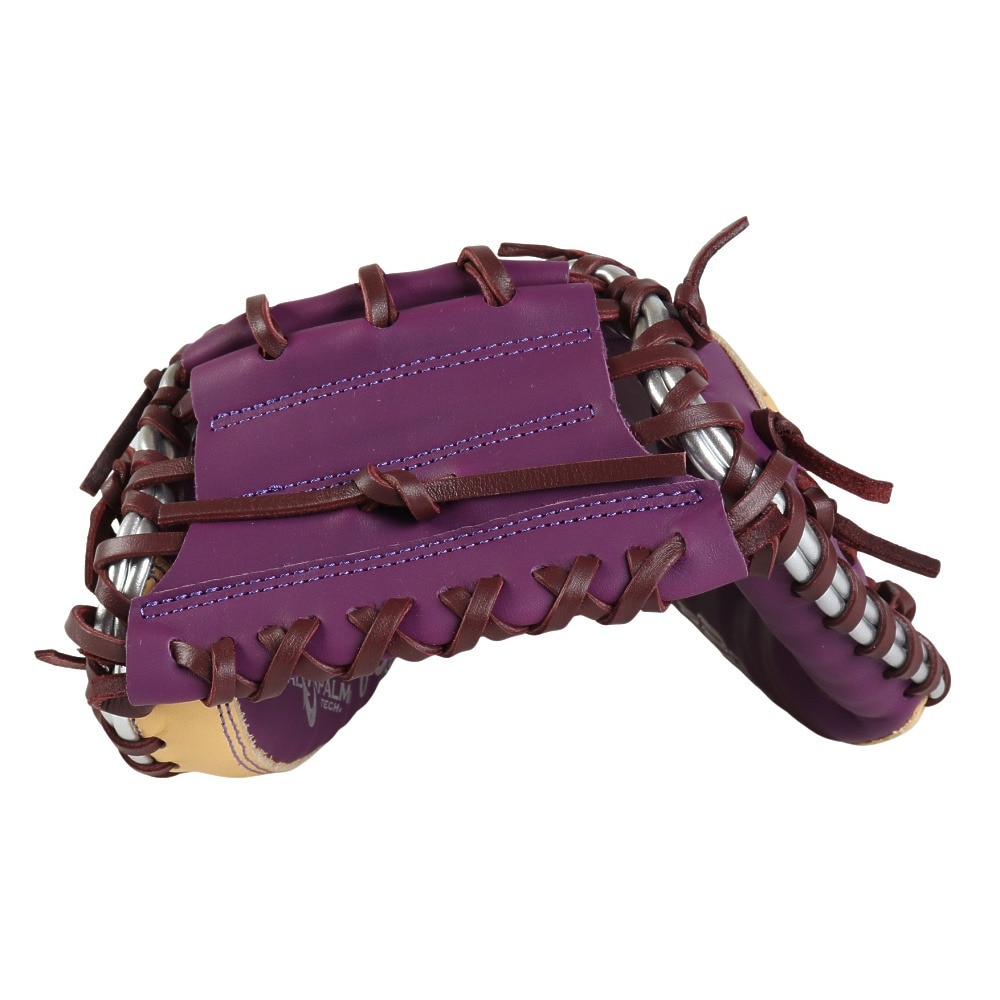 ローリングス（Rawlings）（メンズ）軟式用グラブ 捕手用 野球グローブ 一般 ハイパーテック COLOR SYNC GR4FHTC2AF-PPL/CAM