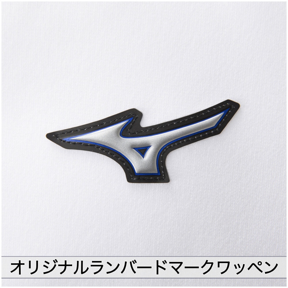 ミズノ（MIZUNO）（メンズ）野球 ユニフォームパンツ 練習着 GACHI ストレートタイプ ガチパンツ 12JD2F6201