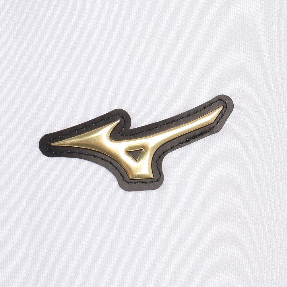 ミズノ（MIZUNO）（メンズ）野球 ユニフォームパンツ 練習用 ミズノプロ ストレッチ ショートフィットタイプ 12JD9F1301