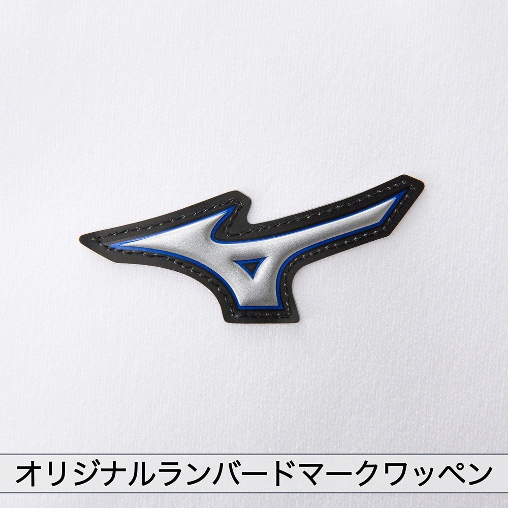 ミズノ（MIZUNO）（メンズ、レディース）野球 練習用 GACHIユニフォームパンツ ショートタイプ 12JD2F6401
