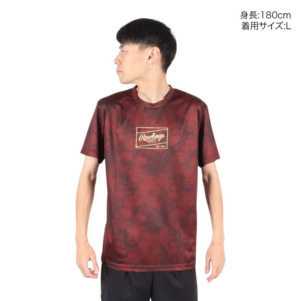 ローリングス（Rawlings）（メンズ）野球ウェア コンバット ゴーストスモーク2 Tシャツ AST15S02-MA