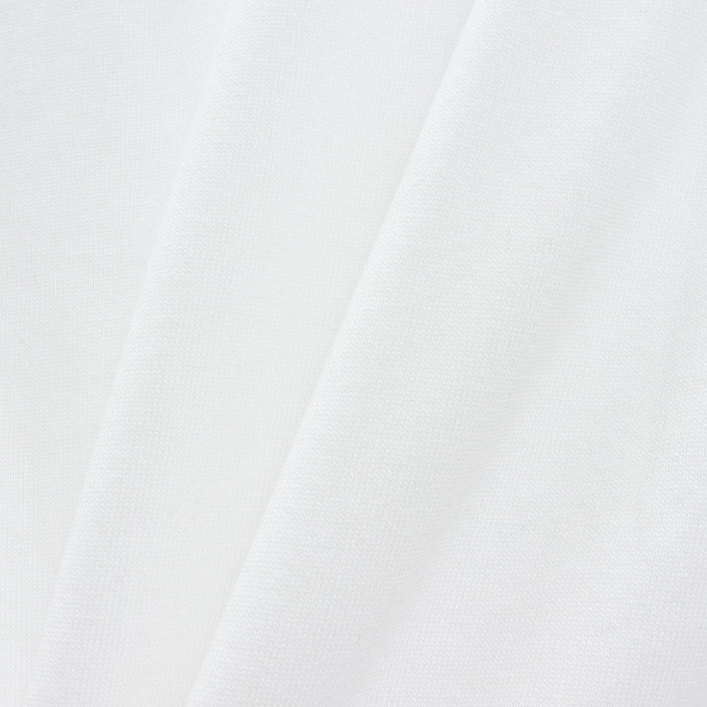 ウイルソン（Wilson）（メンズ）野球ウェア BIG 半袖Tシャツ WH/DBR WB6081602