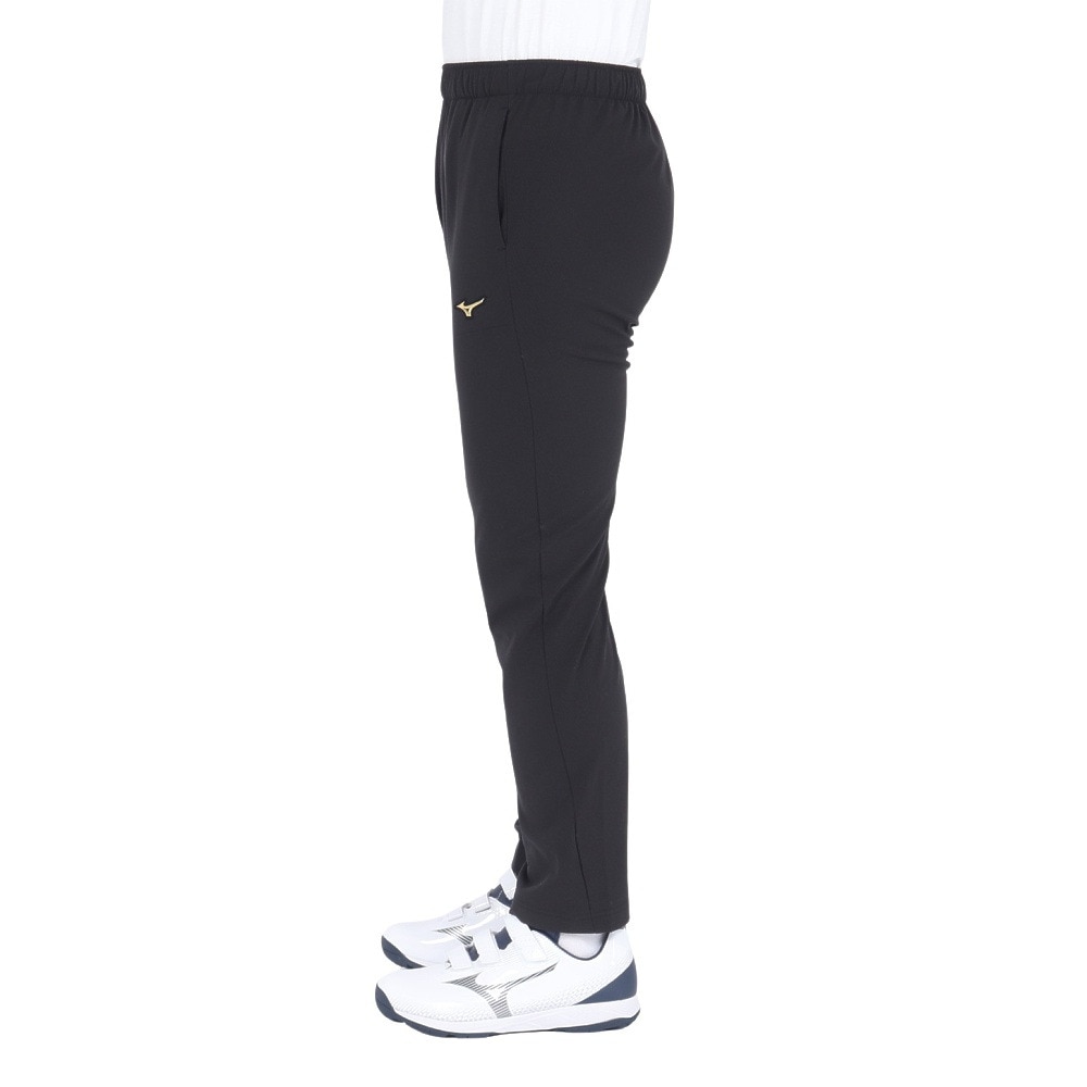 ミズノ（MIZUNO）（メンズ、レディース）野球ウェア ミズノプロ テックシールドパンツ 12JFBW7709