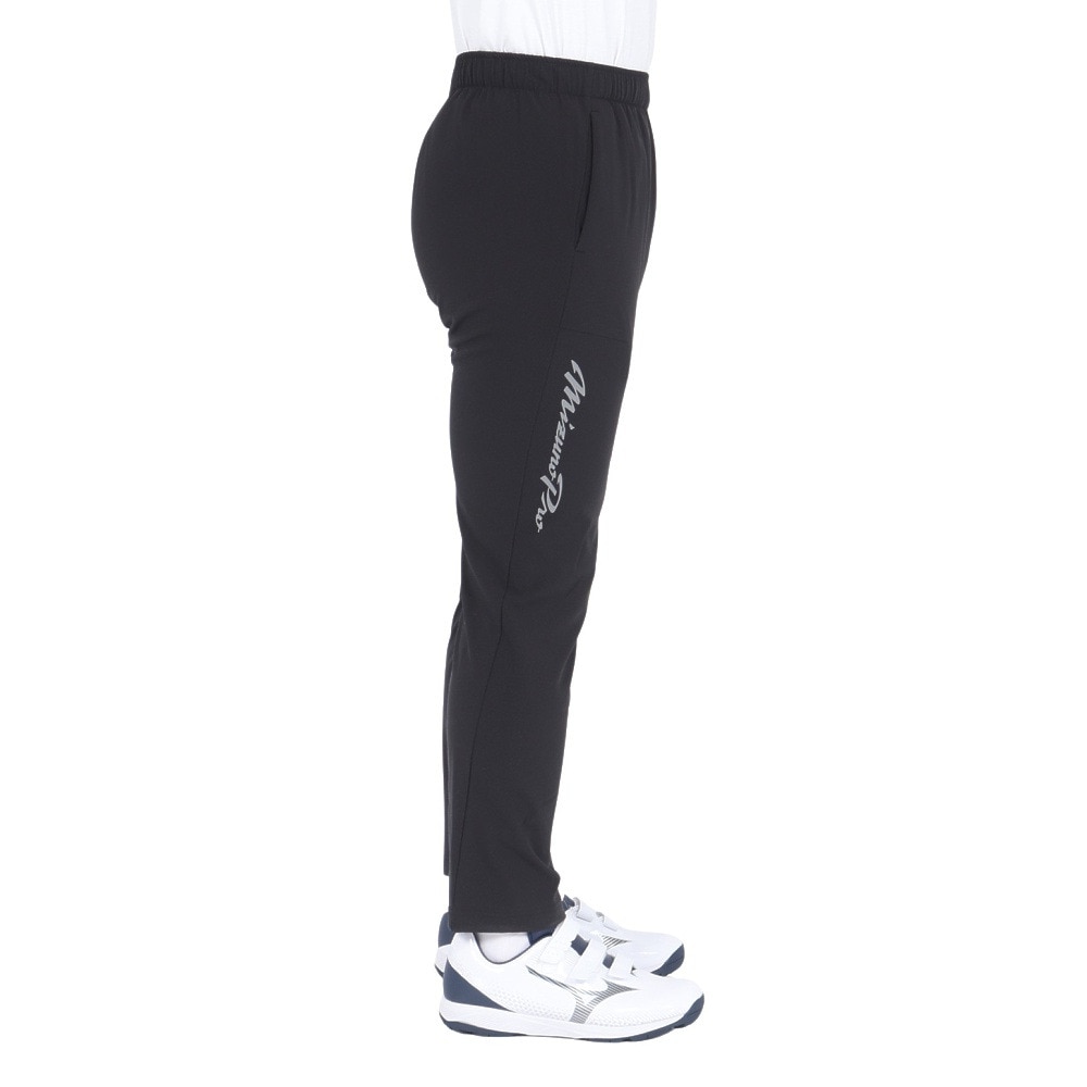 ミズノ（MIZUNO）（メンズ、レディース）野球ウェア ミズノプロ テックシールドパンツ 12JFBW7709