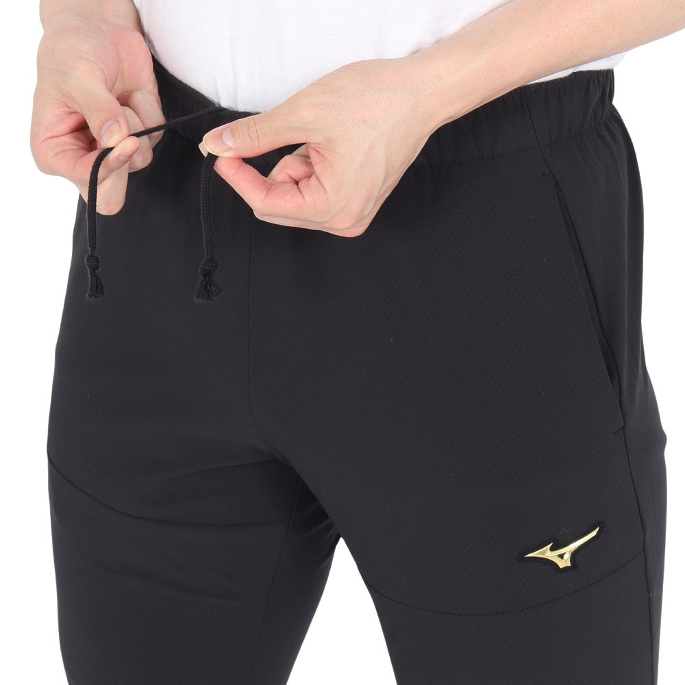 ミズノ（MIZUNO）（メンズ、レディース）野球ウェア ミズノプロ テックシールドパンツ 12JFBW7709