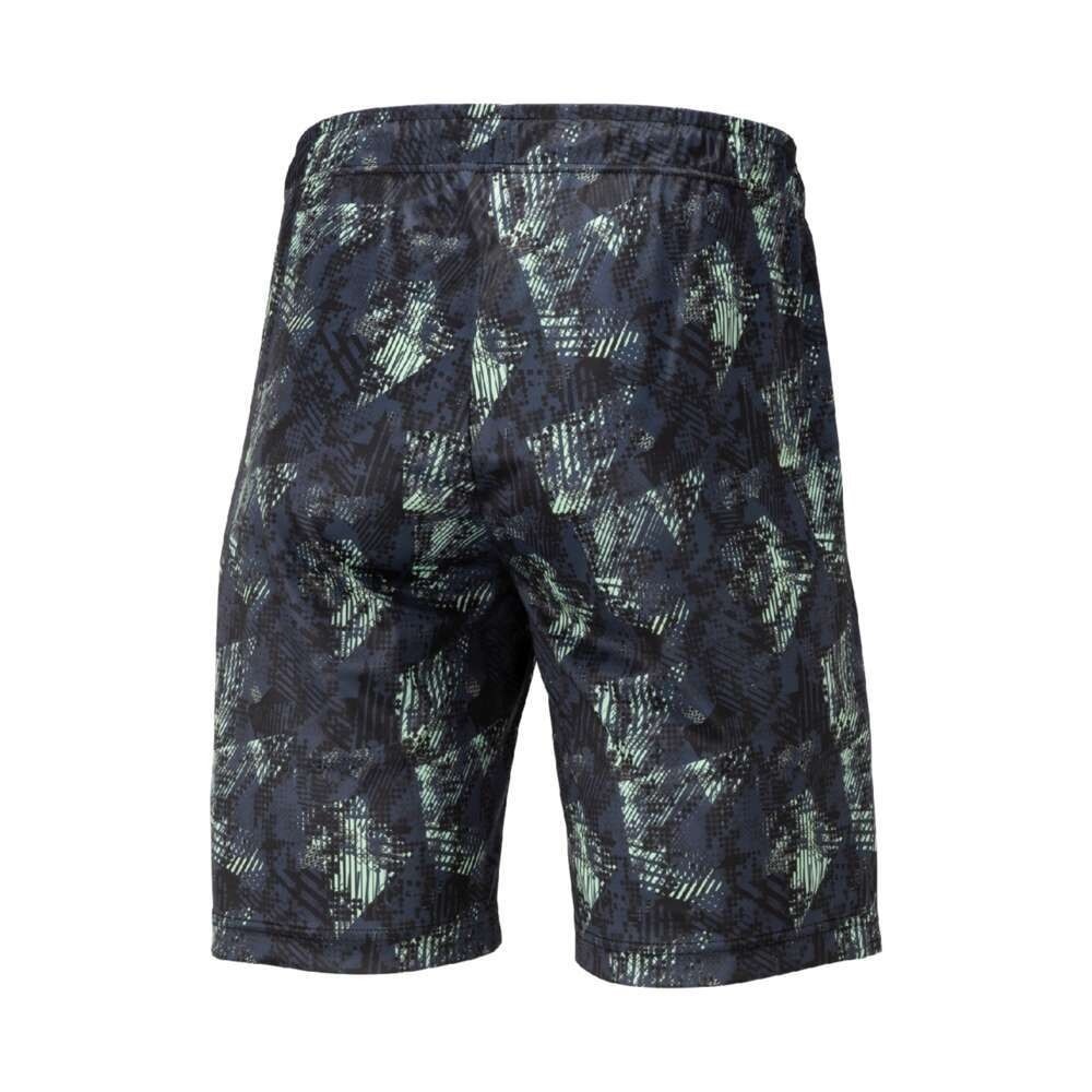 ミズノ（MIZUNO）（メンズ、レディース）野球ウェア グラフィックハーフパンツ 12JDCP8409