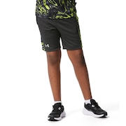 アンダーアーマー（UNDER ARMOUR）（キッズ）野球ユニフォーム ジュニア 練習着 メッシュショーツ 1378261 001