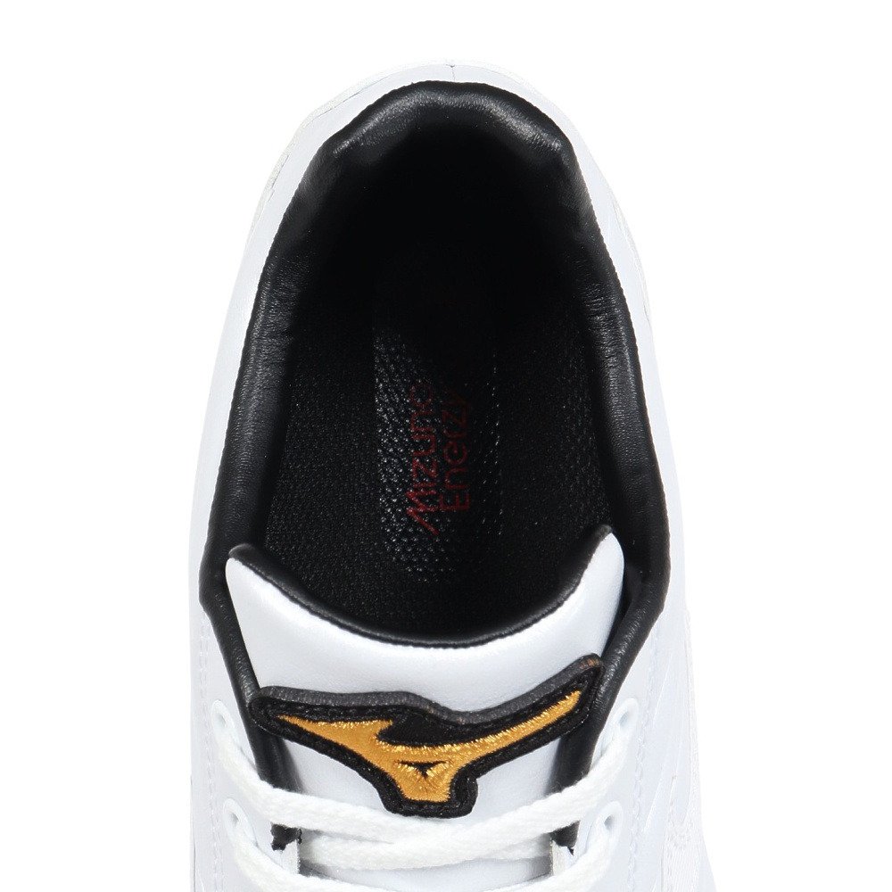 ミズノ（MIZUNO）（メンズ、レディース）野球スパイク ミズノプロ