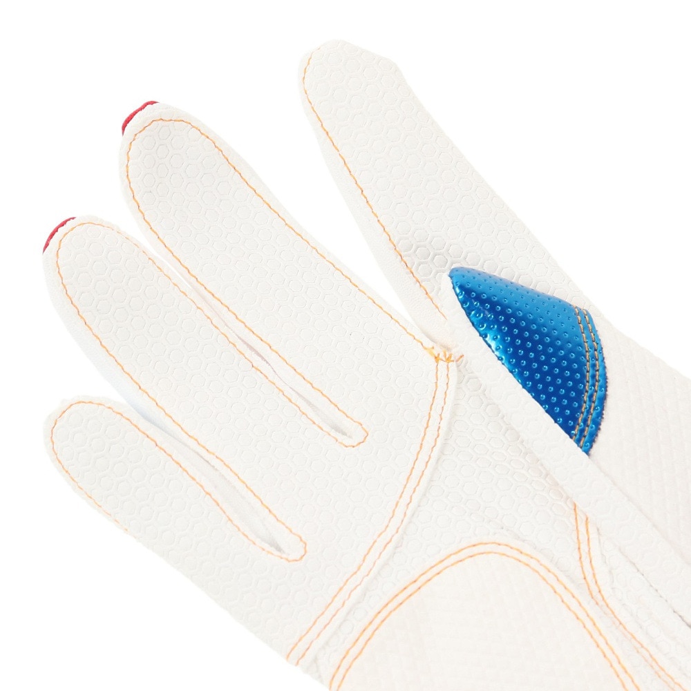 ミズノ（MIZUNO）（メンズ）ジュニア バッティンググローブ 両手用 フランチャイズ D-Edition 1EJEY09962