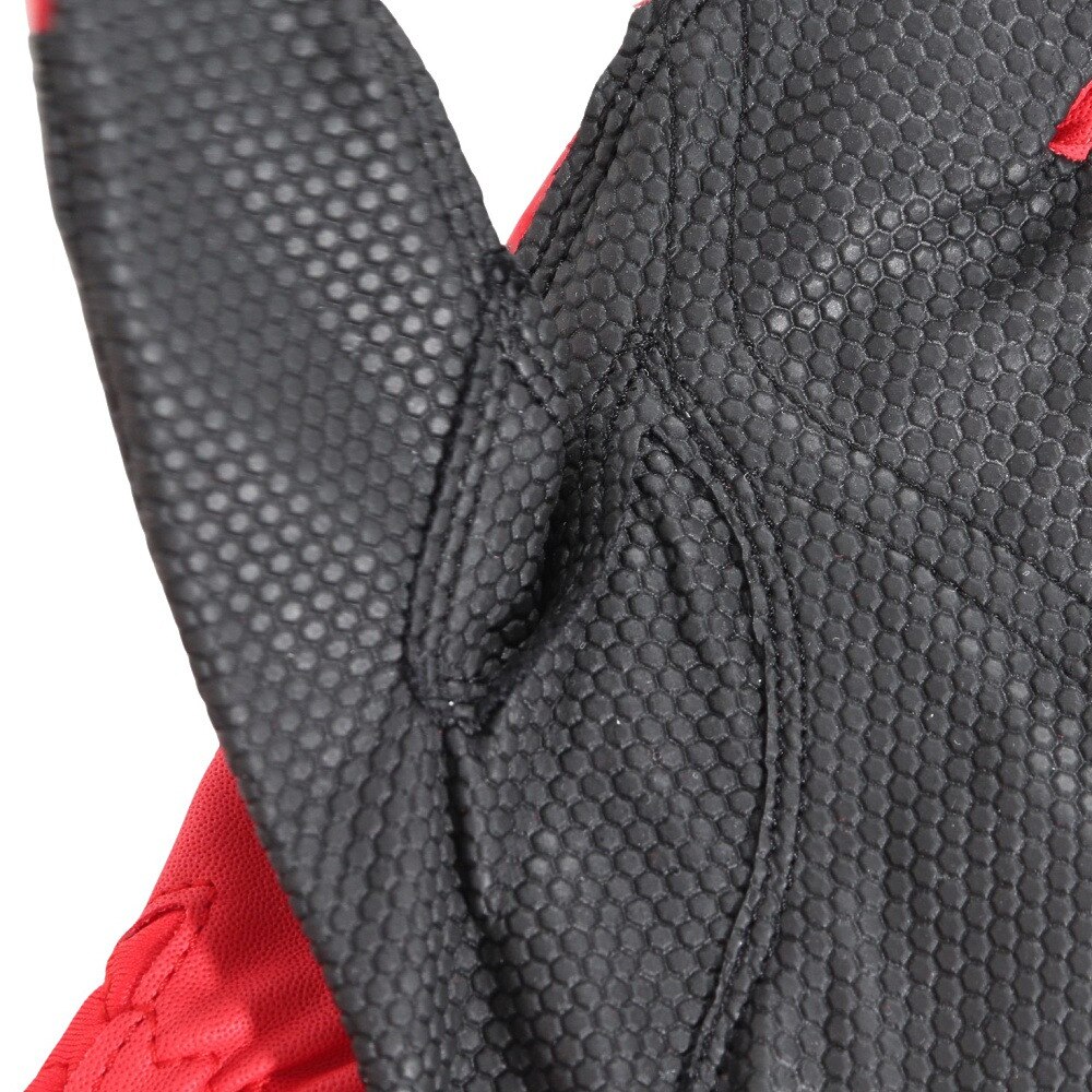 ウイルソン（Wilson）（メンズ）バッティング用グローブ 野球 ディマリニ DM-2 両手用 WB5745203