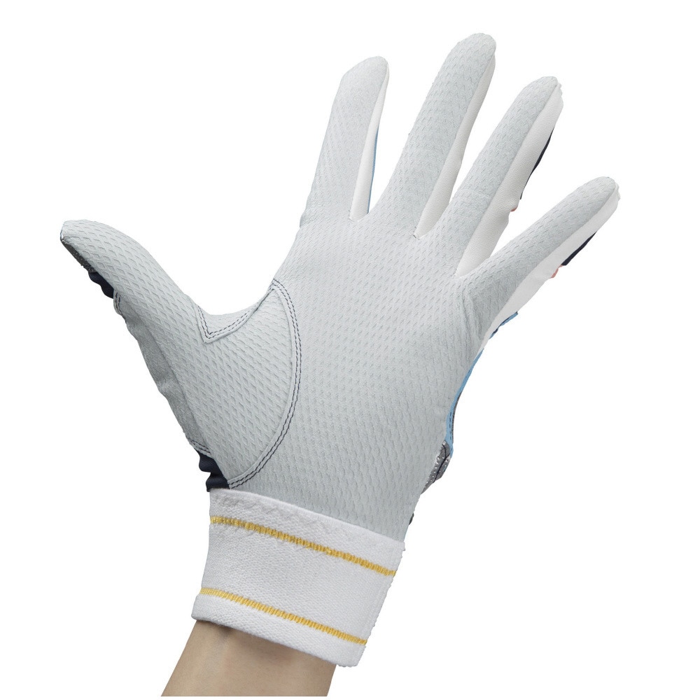 ミズノ（MIZUNO）（メンズ）ミズノプロ バッティンググローブ