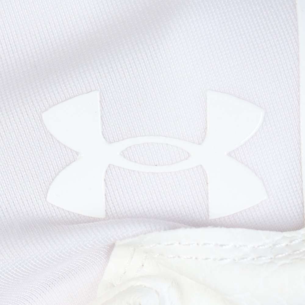 アンダーアーマー（UNDER ARMOUR）（メンズ）野球 ヤード バッティンググローブ ノンカラー 両手用 1384746 100