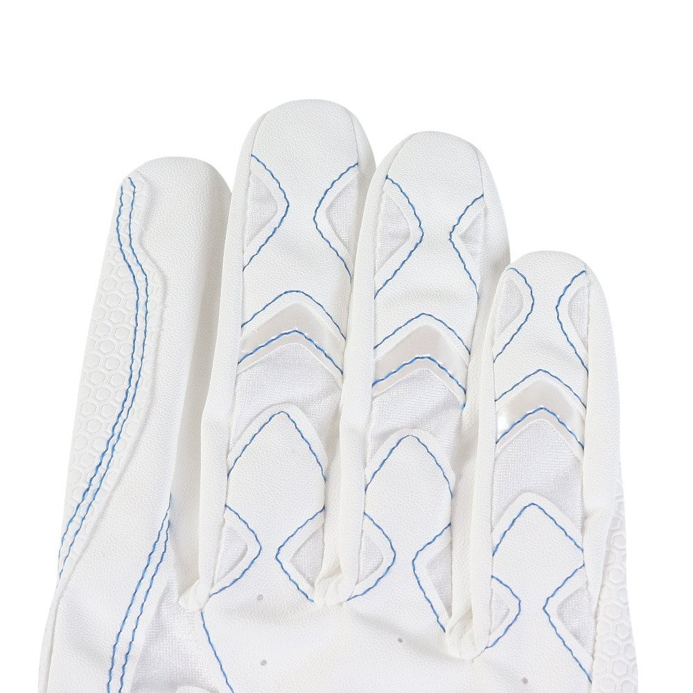 ミズノ（MIZUNO）（メンズ、レディース）バッティング用グローブ 野球 ウィルドライブ ブルー 両手用 24SS 1EJEA53401