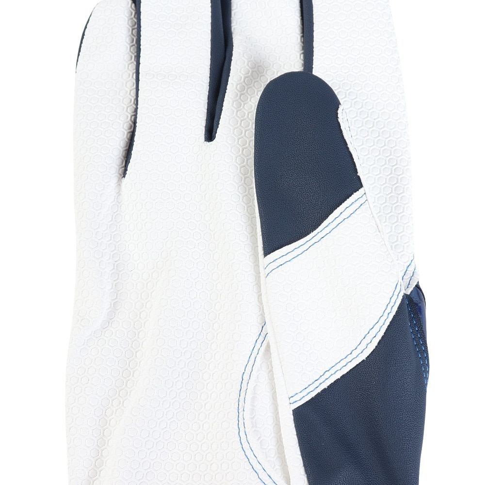 ミズノ（MIZUNO）（メンズ、レディース）バッティング用グローブ 野球 ウィルドライブ ブルー 両手用 24SS 1EJEA53414