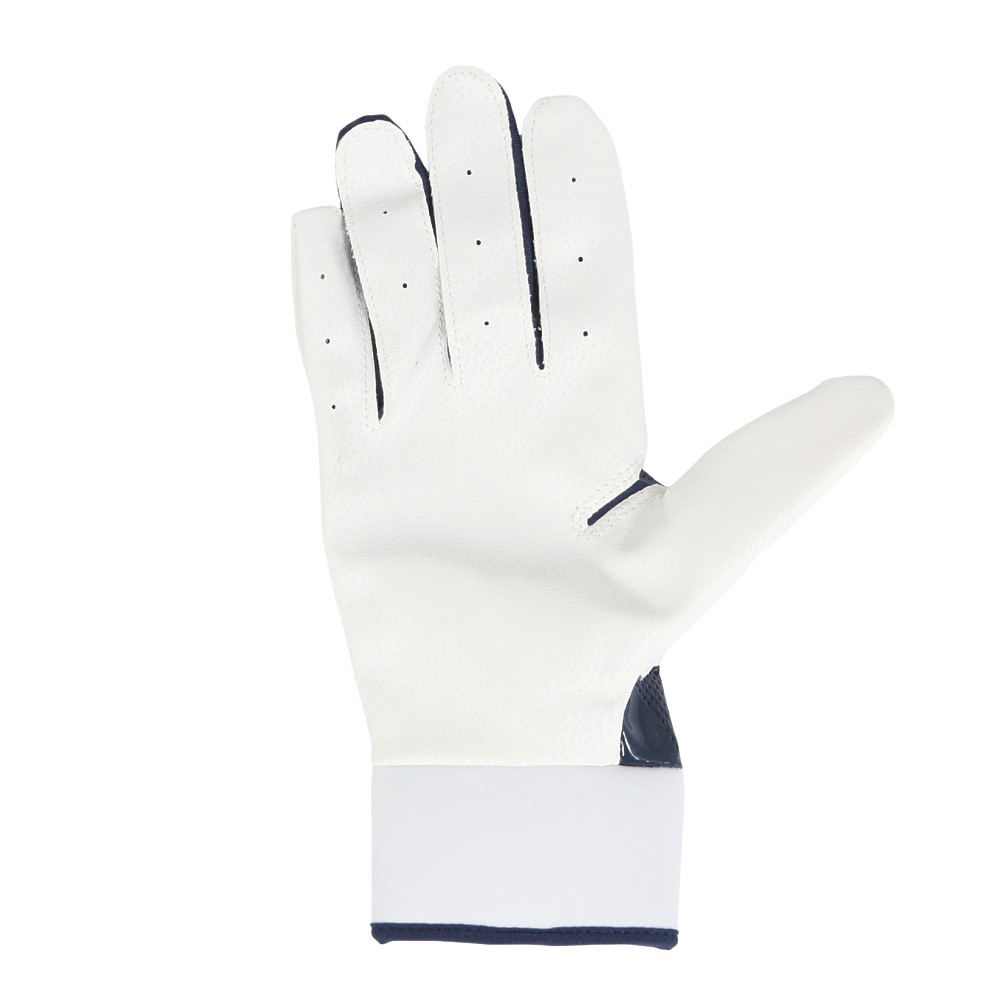 ナイキ（NIKE）（メンズ）バッティング用グローブ 野球 アルファ バッティングG 両手用 BA1030-420