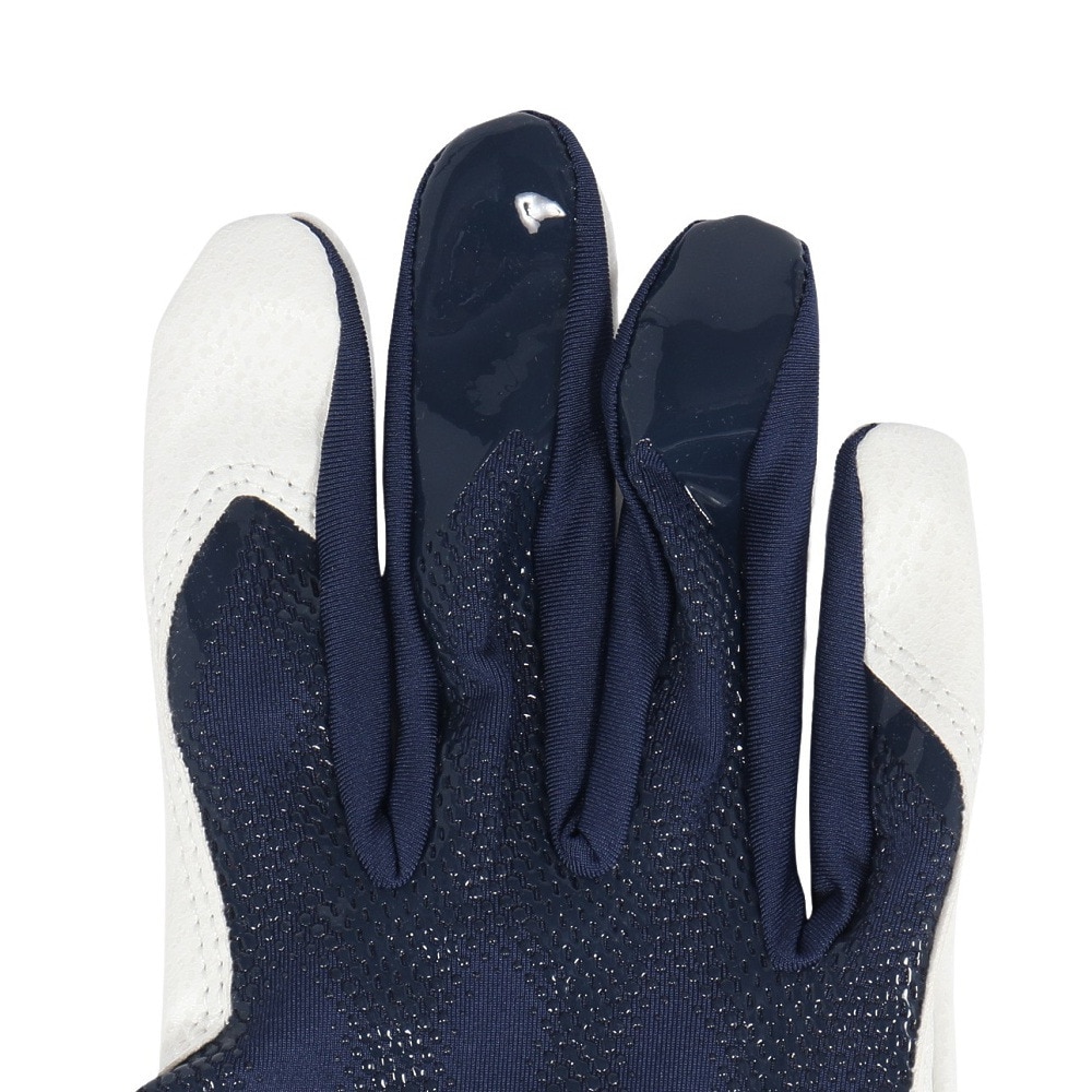 ナイキ（NIKE）（メンズ）バッティング用グローブ 野球 アルファ バッティングG 両手用 BA1030-420