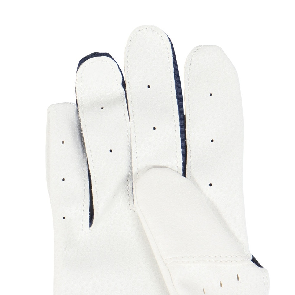 ナイキ（NIKE）（メンズ）バッティング用グローブ 野球 アルファ バッティングG 両手用 BA1030-420