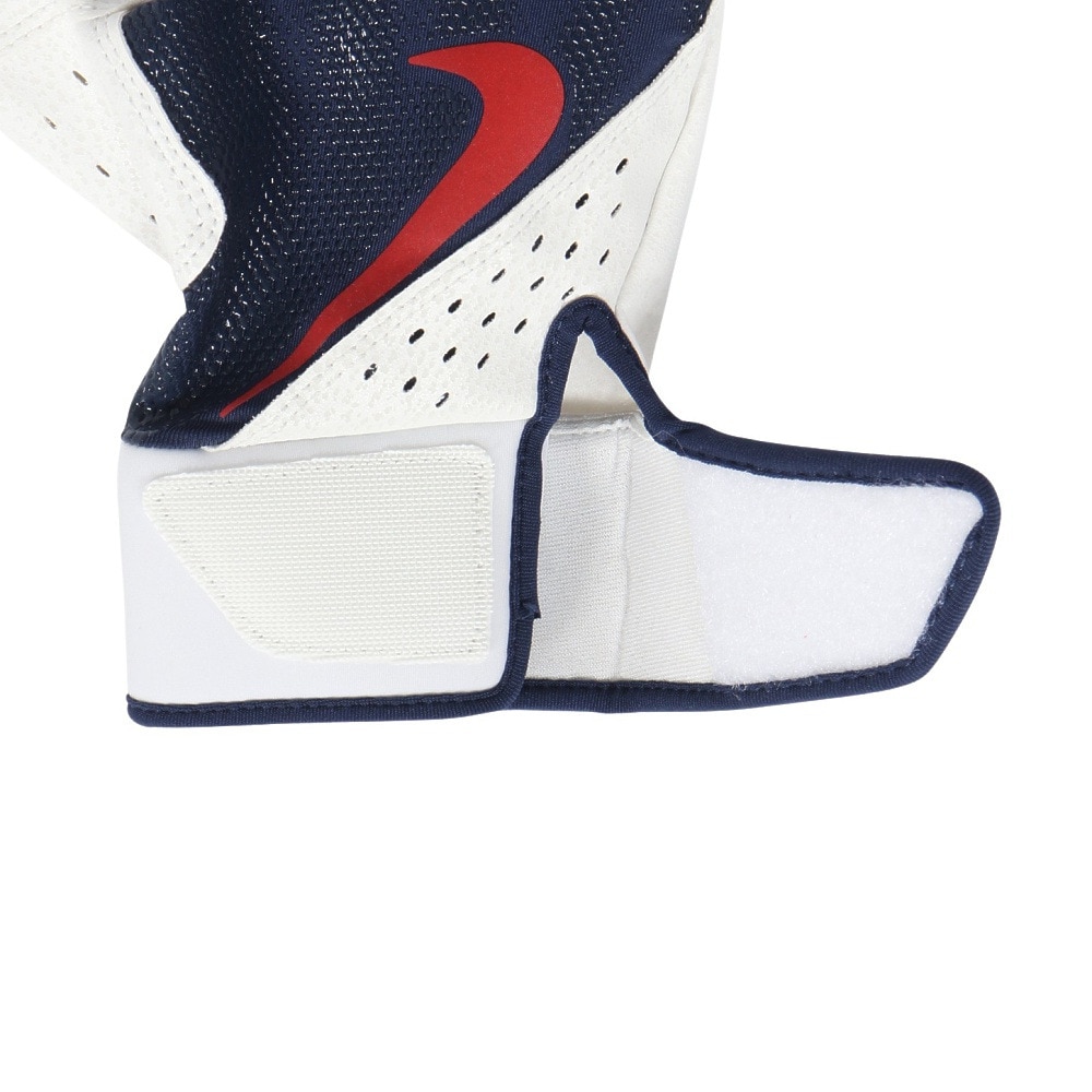 ナイキ（NIKE）（メンズ）バッティング用グローブ 野球 アルファ バッティングG 両手用 BA1030-420
