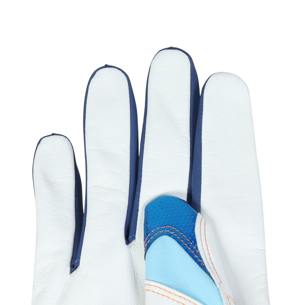 ミズノ（MIZUNO）（メンズ、レディース）バッティング用グローブ 野球 ミズノプロ シリコンパワーアークDI 両手用 mizuno pro 1EJEA53721