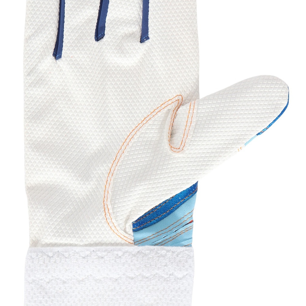 ミズノ（MIZUNO）（メンズ、レディース）バッティング用グローブ 野球 シリコンパワーアークDI レプリカ 両手用 1EJEA54121