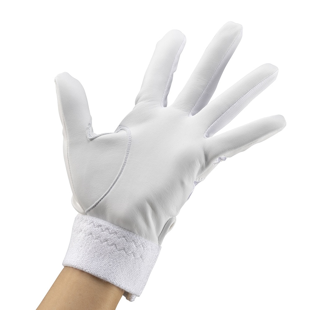 ミズノ（MIZUNO）（メンズ、レディース）バッティング用グローブ 野球 洗える天然皮革 両手用 1EJEH02310