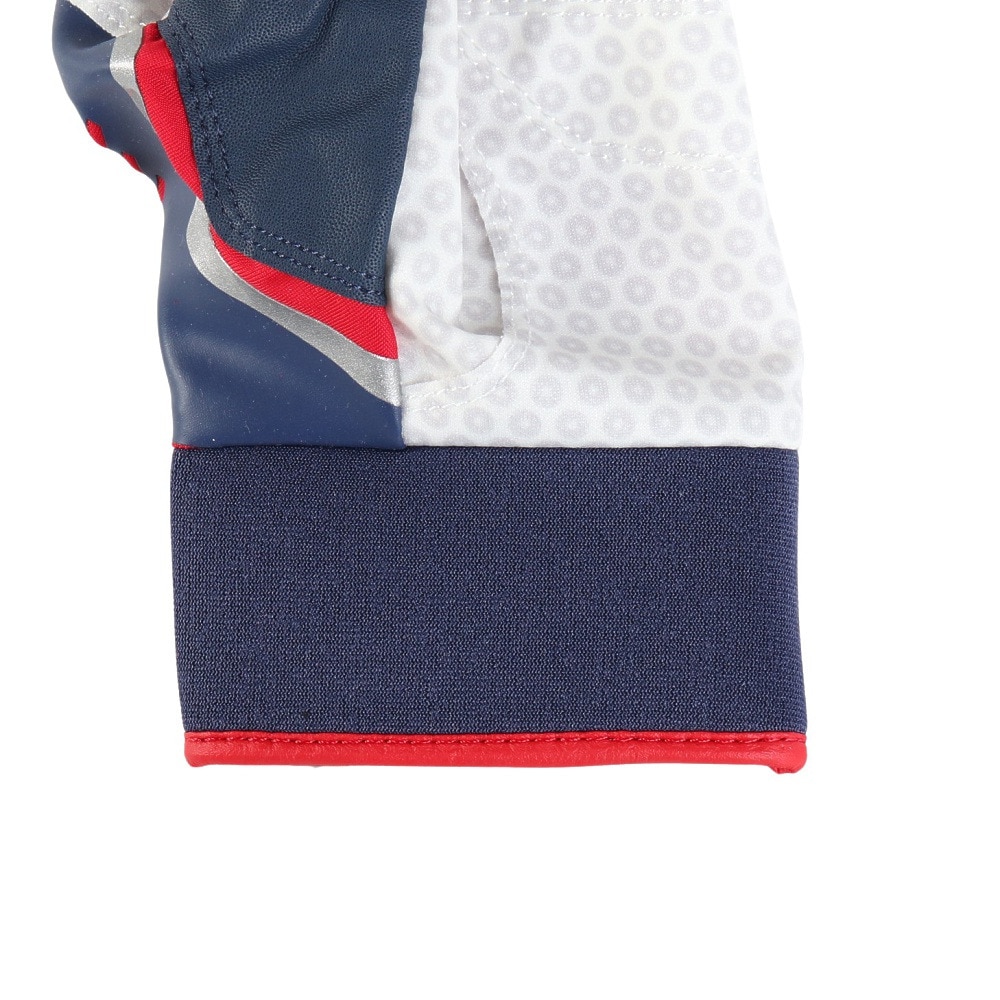 オークリー（OAKLEY）（メンズ）バッティング用グローブ 野球 STRIKING GLOVE 両手用 FOS901851-6DG