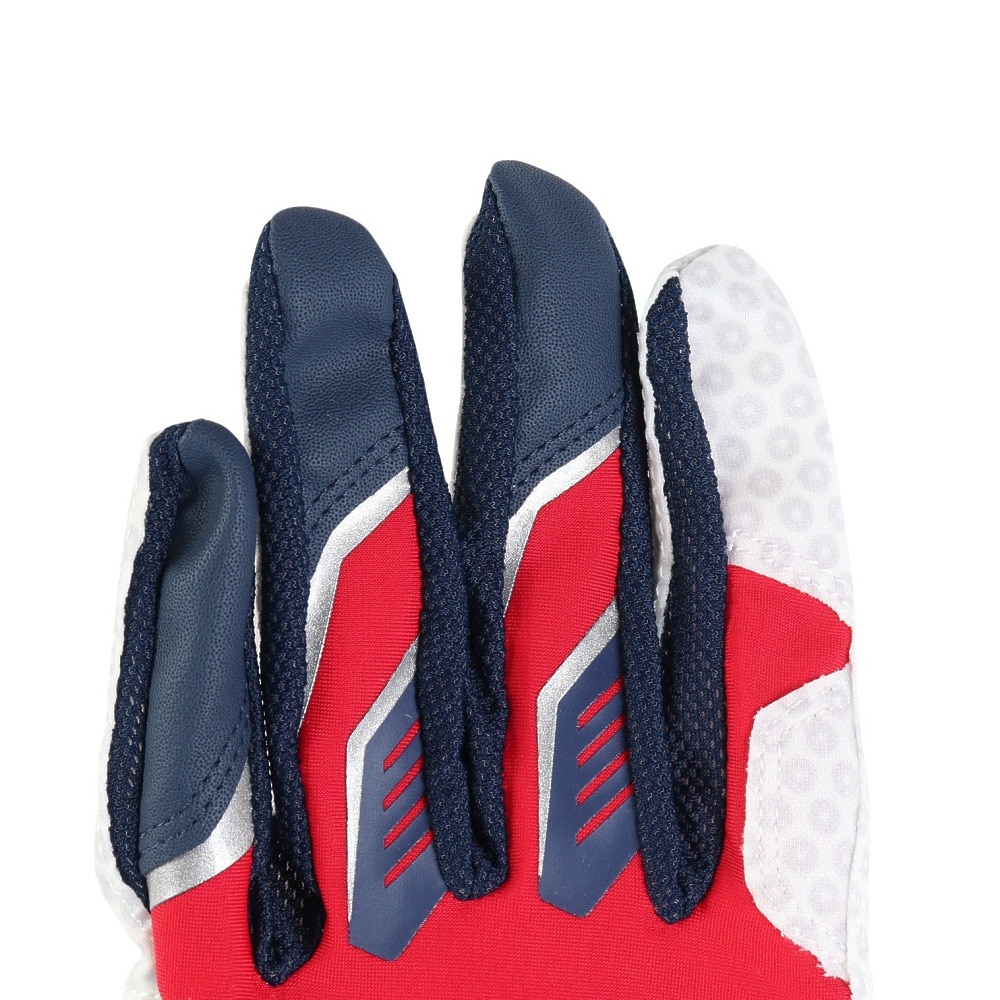 オークリー（OAKLEY）（メンズ）バッティング用グローブ 野球 STRIKING GLOVE 両手用 FOS901851-6DG