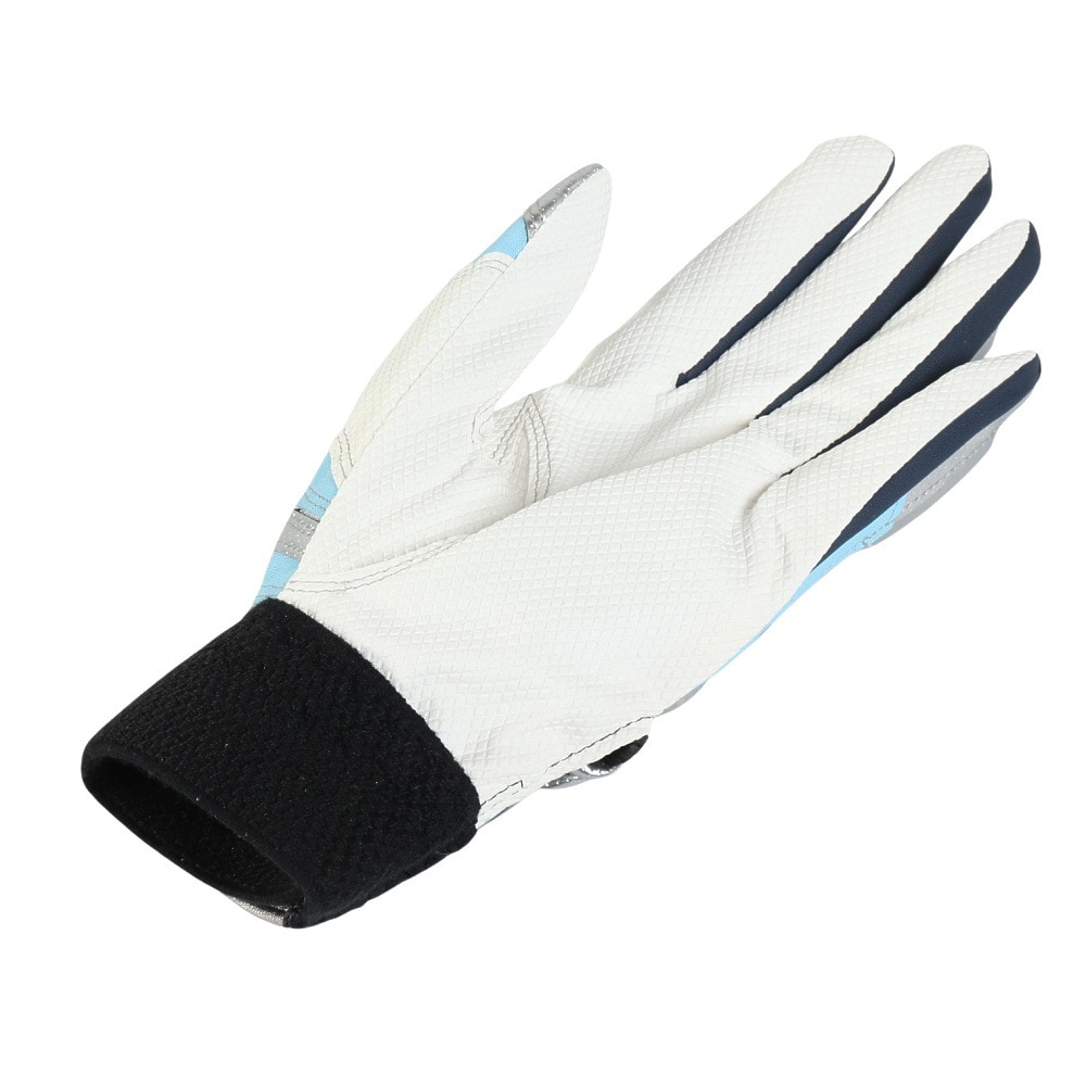 ミズノ（MIZUNO）（メンズ、レディース）バッティング用グローブ 野球 シリコンパワーアークDI レプリカ 両手用 1EJEA55321