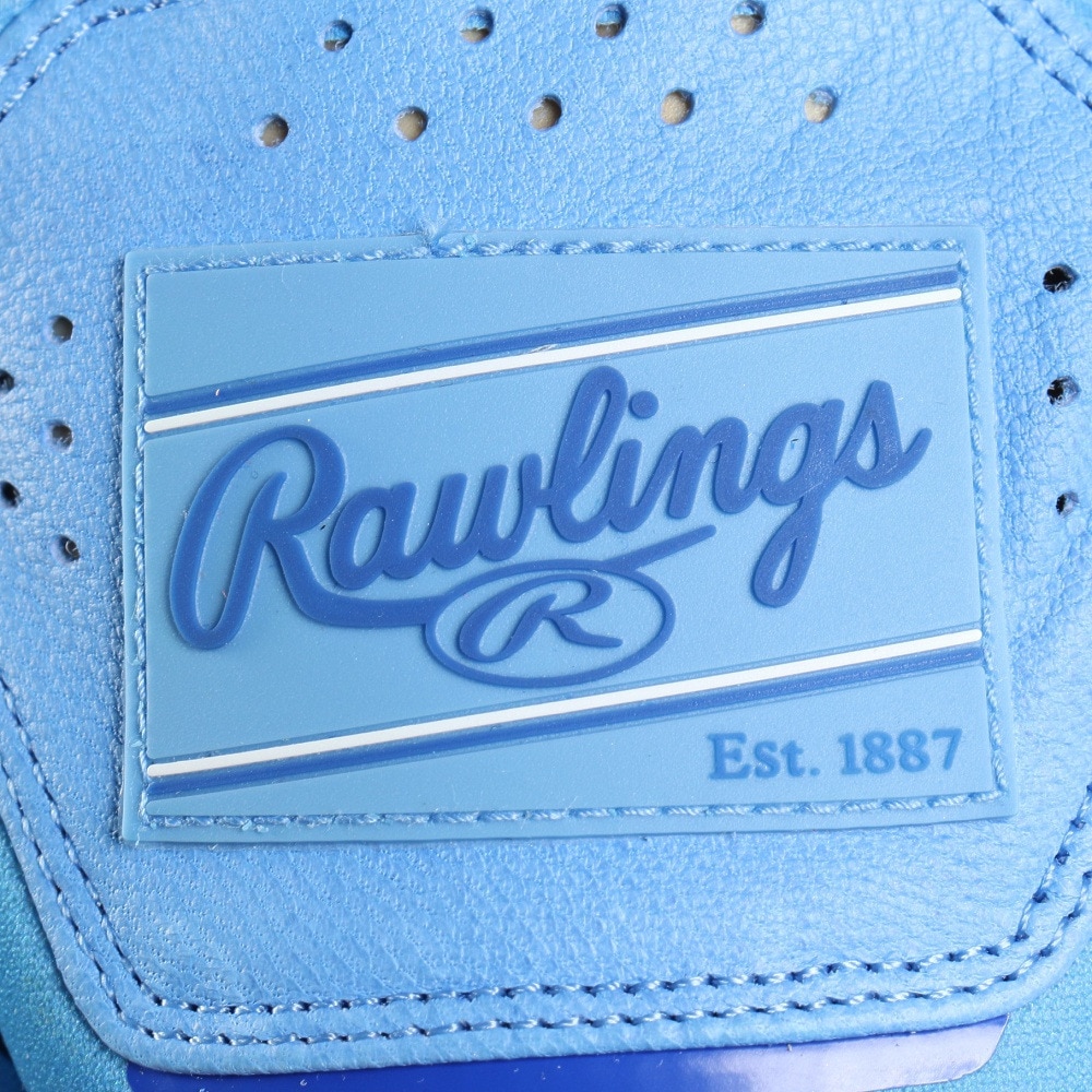 ローリングス（Rawlings）（メンズ、レディース）バッティング用グローブ 野球 2025 WORK HORSE WH25BG-CB-USA