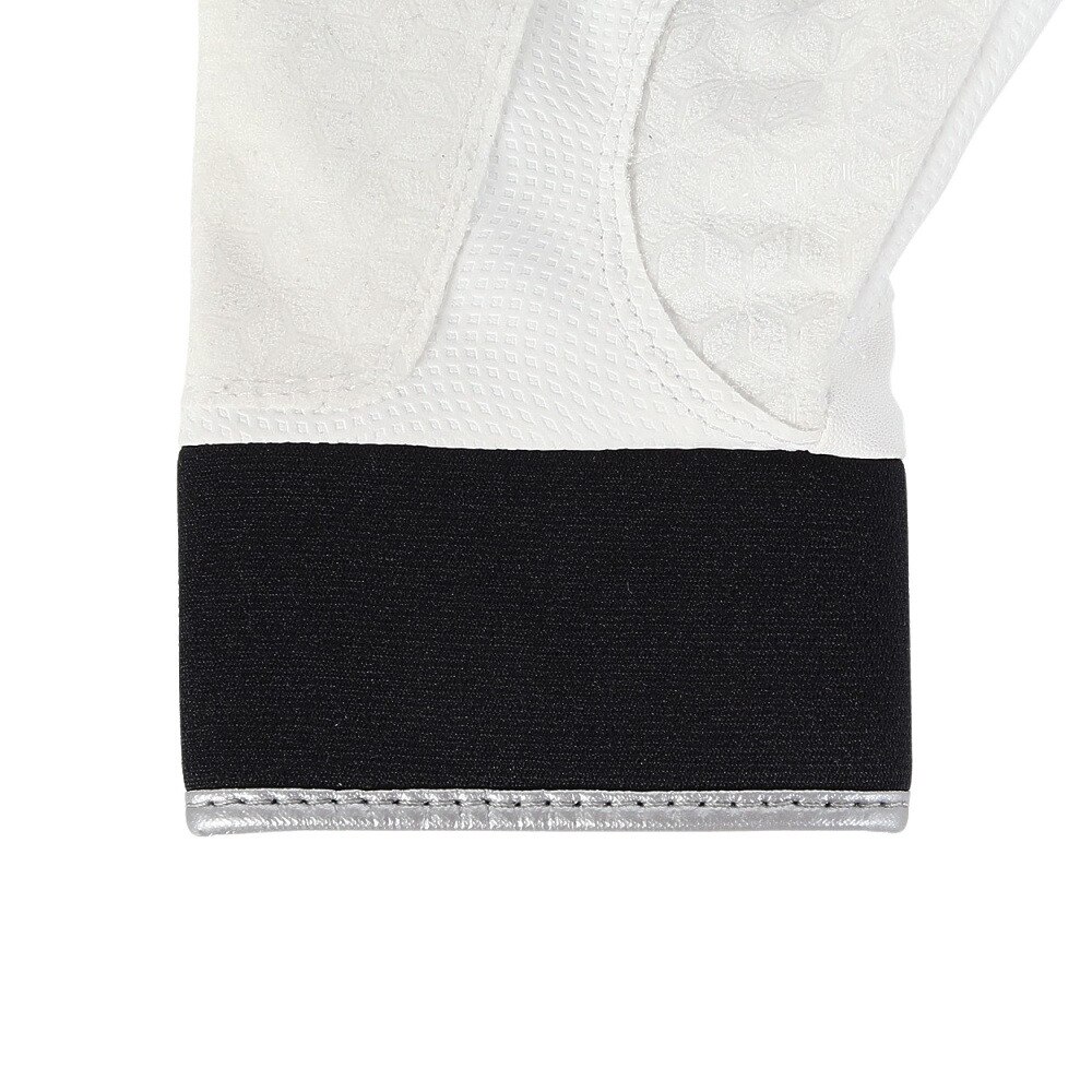 アシックス（ASICS）（メンズ、レディース）【新商品】 バッティング用グローブ GOLDSTAGE BATTING GLOVE 3121B365.101