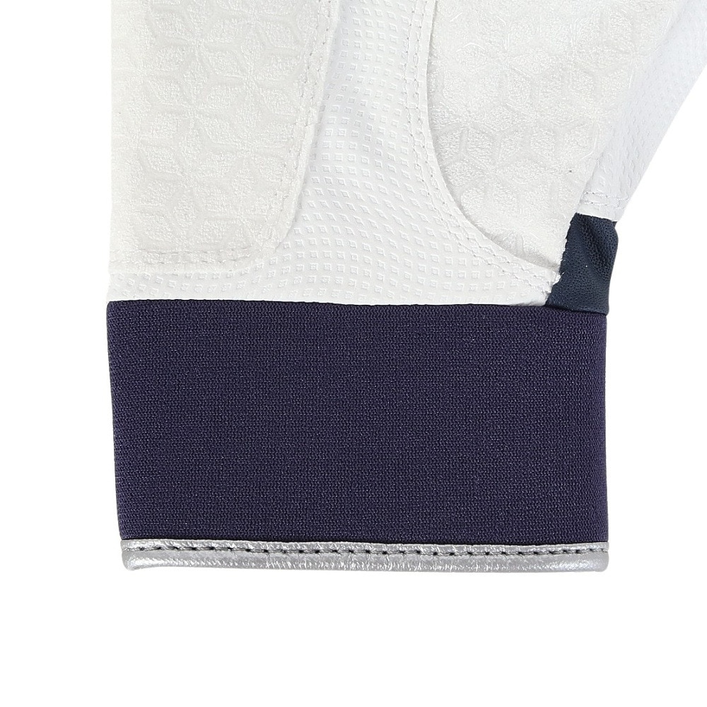 アシックス（ASICS）（メンズ、レディース）バッティング用グローブ GOLDSTAGE BATTING GLOVE 3121B365.410