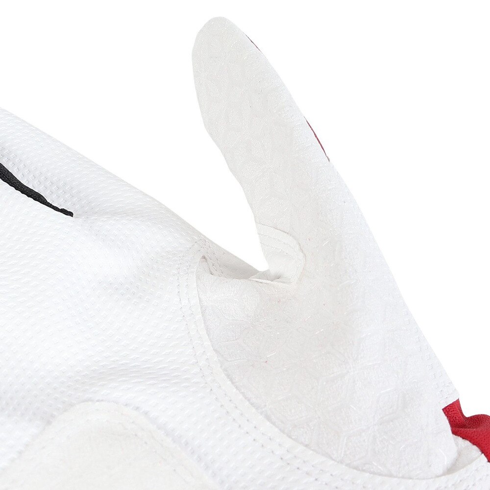 アシックス（ASICS）（メンズ、レディース）【新商品】 バッティング用グローブ GOLDSTAGE BATTING GLOVE 3121B365.600