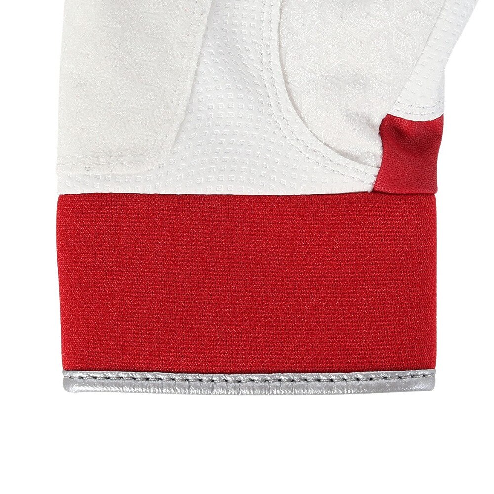 アシックス（ASICS）（メンズ、レディース）【新商品】 バッティング用グローブ GOLDSTAGE BATTING GLOVE 3121B365.600