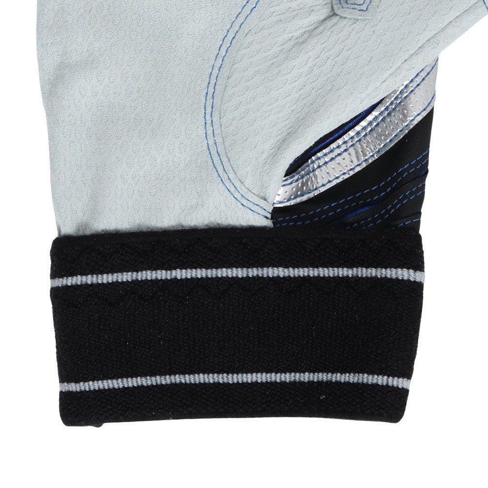 ミズノ（MIZUNO）（メンズ、レディース）バッティング用グローブ 野球 ミズノプロ シリコンパワーアークDI 両手用 1EJEA55509