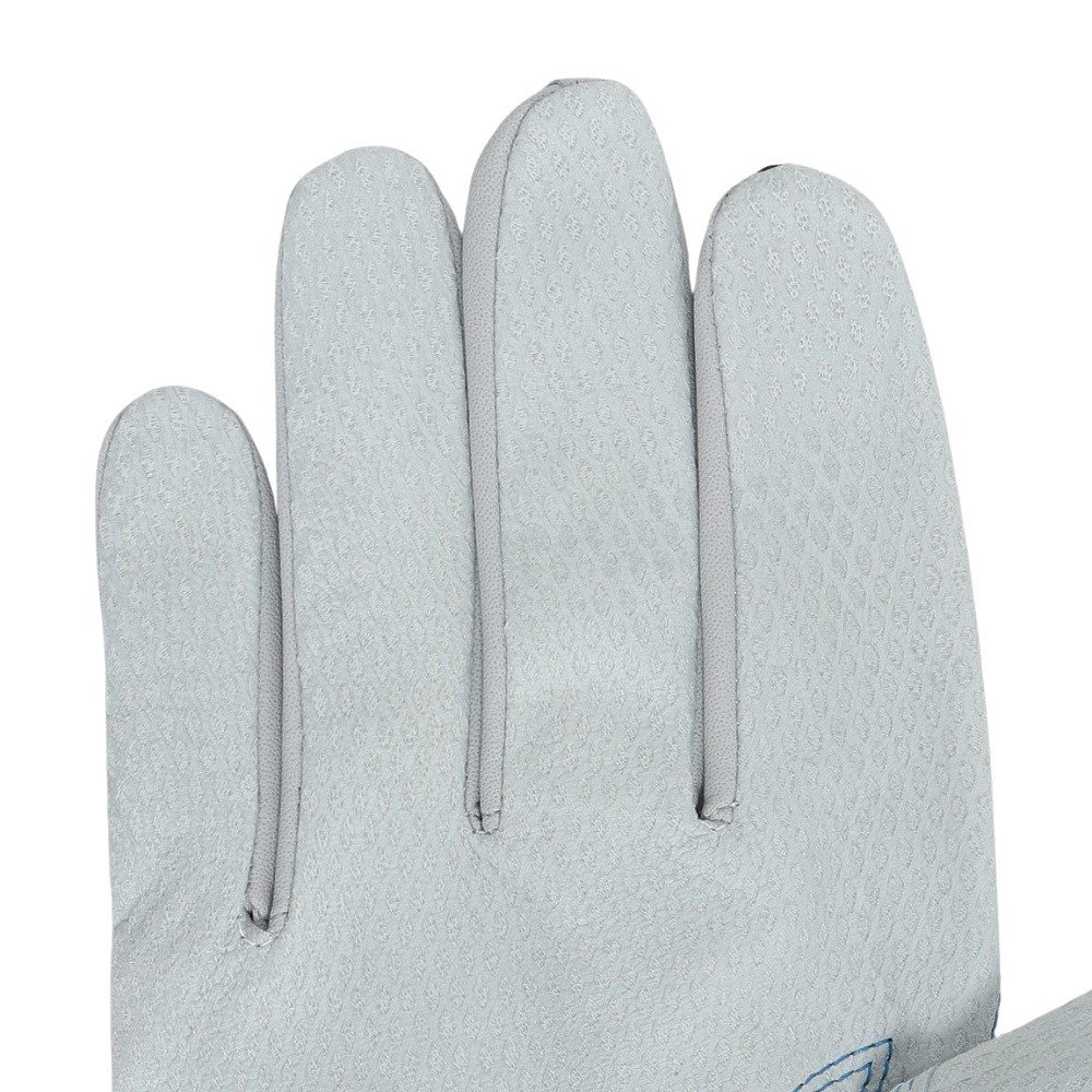 ミズノ（MIZUNO）（メンズ、レディース）バッティング用グローブ 野球 ミズノプロ シリコンパワーアークDI 両手用 1EJEA55509