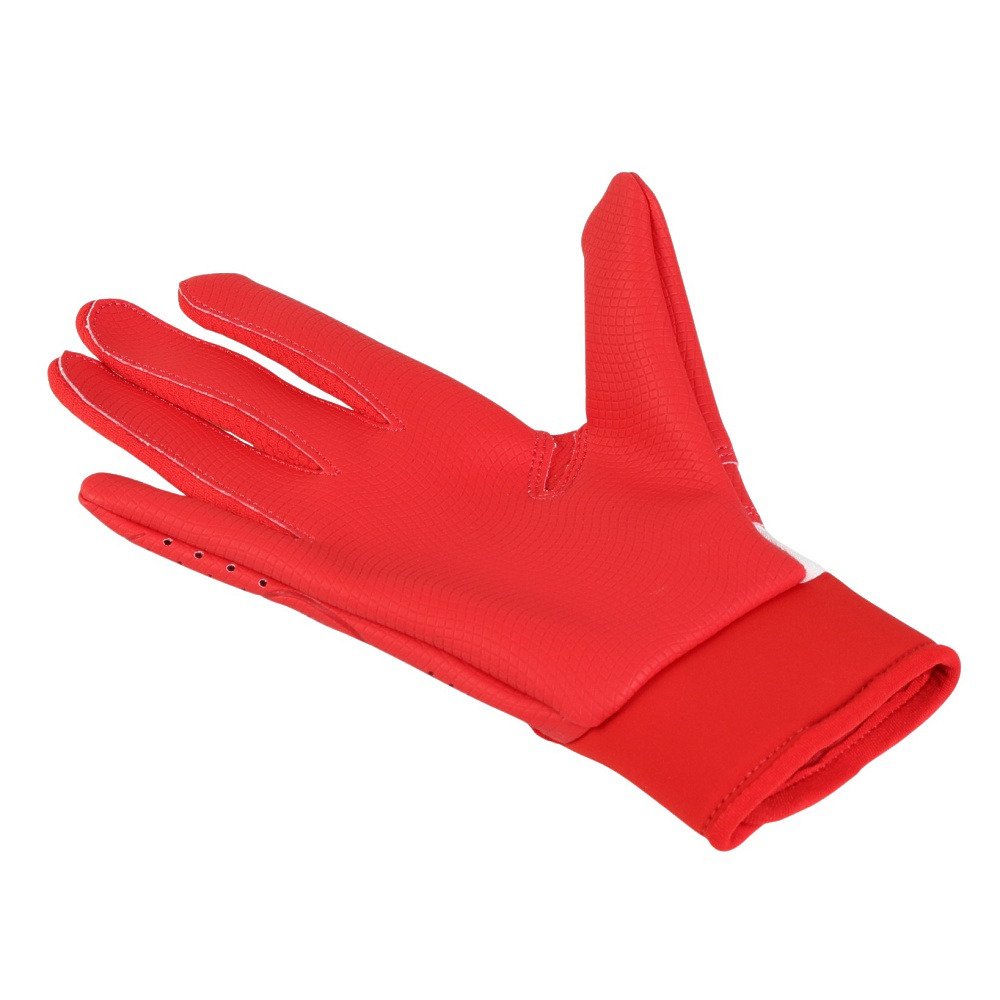 ナイキ（NIKE）（キッズ）ジュニア バッティング用グローブ 野球 ユース アルファ 2.0 バッティンググローブ 両手用 BA1202-143