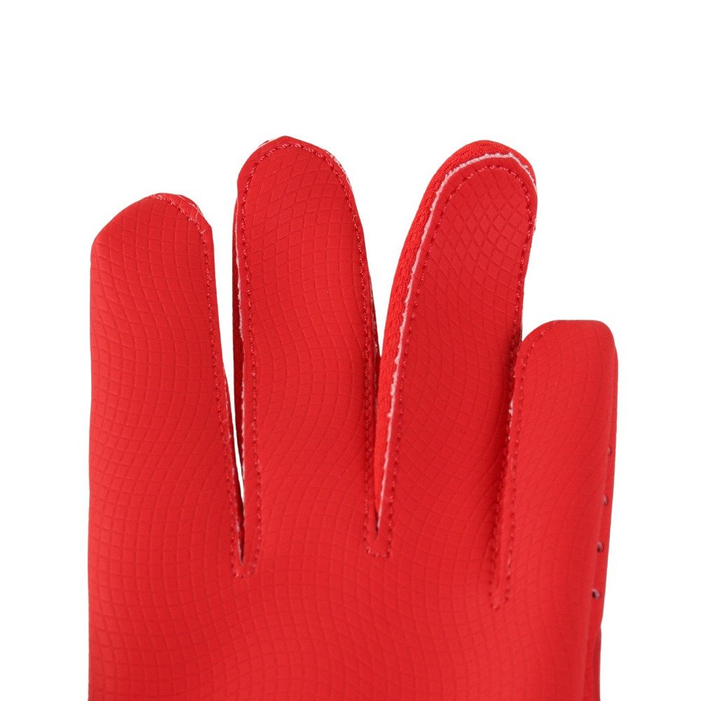 ナイキ（NIKE）（キッズ）ジュニア バッティング用グローブ 野球 ユース アルファ 2.0 バッティンググローブ 両手用 BA1202-143