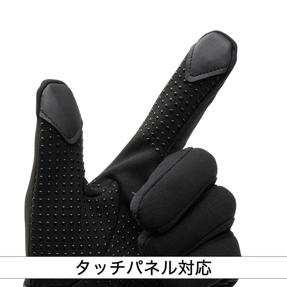 ミズノ（MIZUNO）（メンズ、レディース）野球 ミズノプロ フリース手袋 12JYBA6209