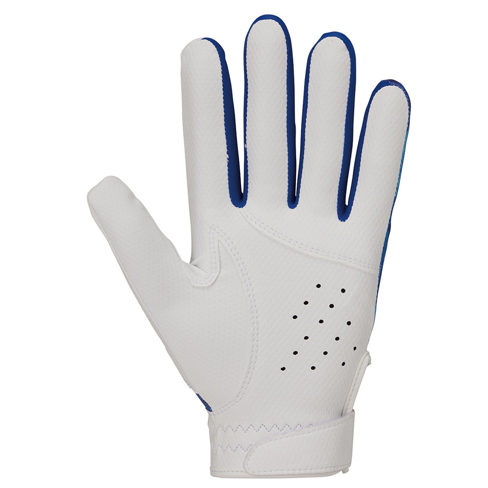ローリングス（Rawlings）（メンズ、レディース）【新商品】 守備用グローブ 野球 フィールドグラブ ゴーストスモーク2 左手用 EFG25S02-BLU