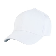 ミズノ（MIZUNO）（メンズ、レディース）野球 帽子 キャップ オールメッシュ 六方型 12JWBB0301