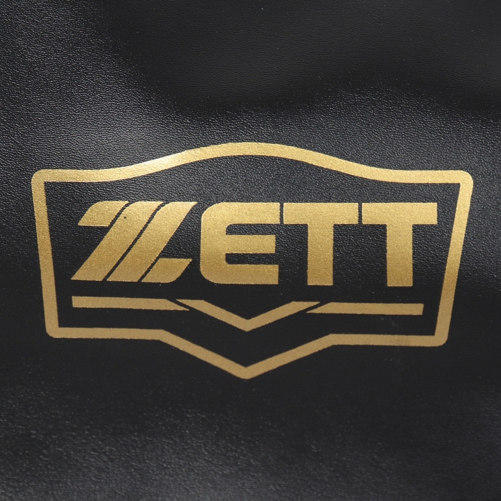 ゼット（ZETT）（メンズ）バットケース 2本入 BC772-1900