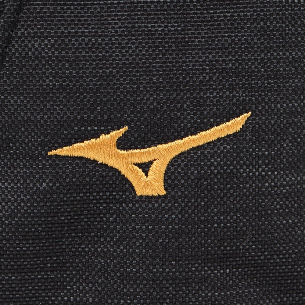 ミズノ（MIZUNO）（メンズ）シューズケース 野球 ミズノプロ ハイグレードシューズケース Mizuno Pro 1FJKB90209