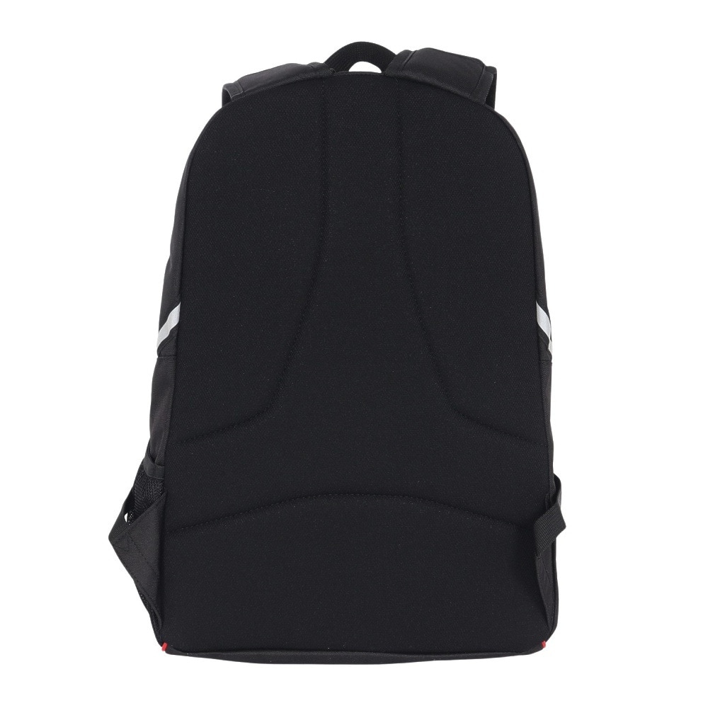 ミズノ（MIZUNO）（キッズ）ジュニア 野球 バッグ バックパック 23L 1FJDC05016