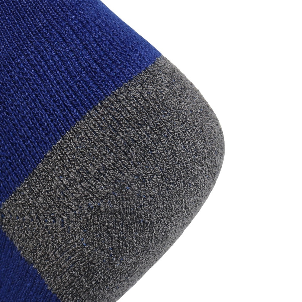 デサント（DESCENTE）（メンズ）野球 5本指 カラーソックス C-8701B ROY