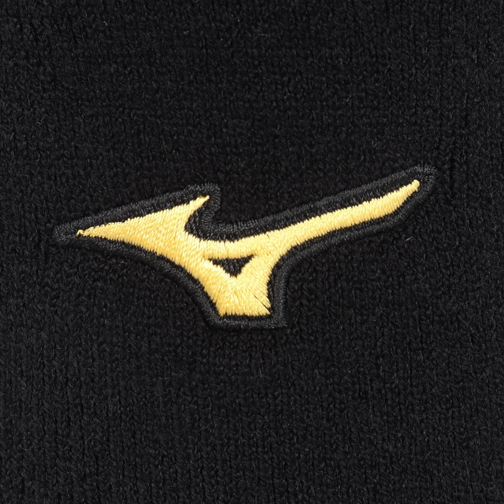 ミズノ（MIZUNO）（メンズ）ミズノプロ ブレスサーモ レッグウォーマー 防寒小物 12JY0U0109