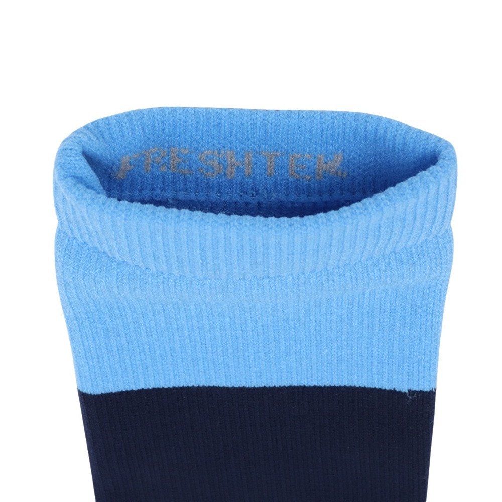 スタンス（STANCE）（メンズ）野球 STRIPES OTC 2023 ソックス A759A23STR LIGHT BLUE 速乾